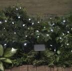 Star Lights 100 White LED's Star Lights 100 White LED's
